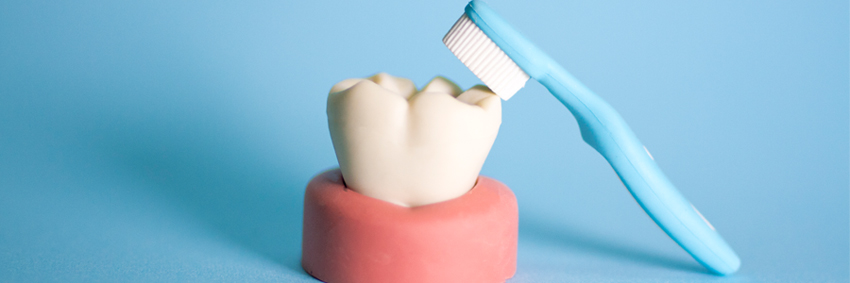 正しいケアで歯周病の原因となる菌の働きを弱めていくことが大切
